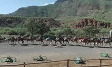 Guided tour in Gran Canaria with wine and cheese tasting
