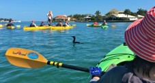 Half Day Kayaking Experience in Galway