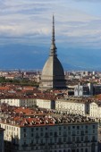 Torino Culturale: Ascensore Mole Antonelliana e Visita Guidata del Museo del Cinema