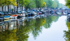 Amsterdam bus tour con guida dal vivo e crociera sui canali