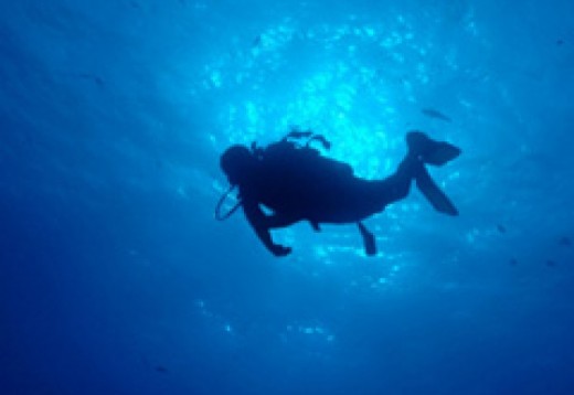 Adventurous Experiences